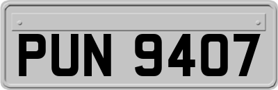 PUN9407