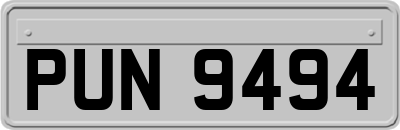PUN9494