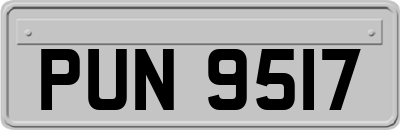 PUN9517