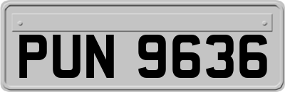 PUN9636
