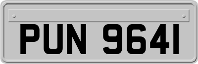 PUN9641