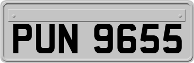 PUN9655