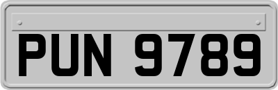 PUN9789