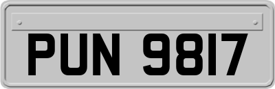 PUN9817