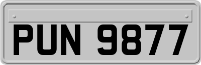 PUN9877