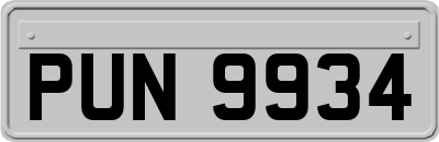 PUN9934