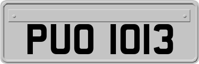 PUO1013