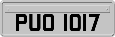 PUO1017