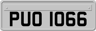 PUO1066