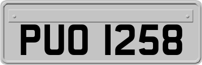PUO1258