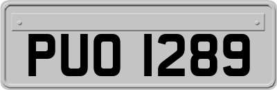 PUO1289