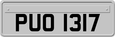 PUO1317