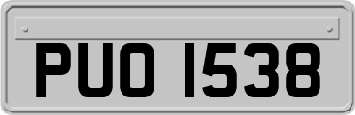 PUO1538