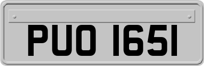 PUO1651