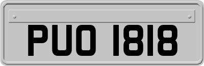 PUO1818