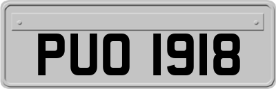 PUO1918
