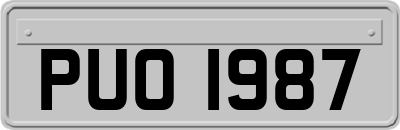 PUO1987
