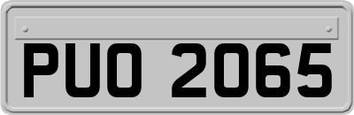 PUO2065