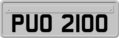 PUO2100