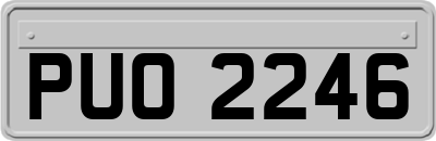 PUO2246