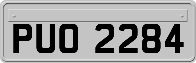 PUO2284