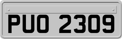 PUO2309