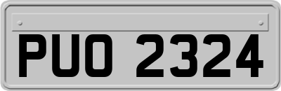 PUO2324