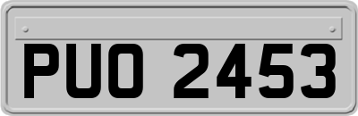 PUO2453