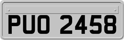 PUO2458
