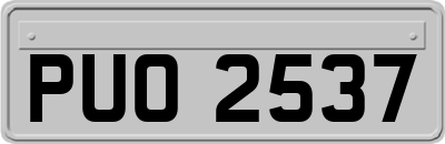 PUO2537