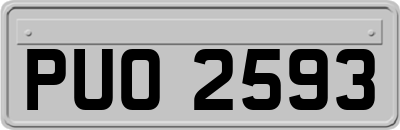 PUO2593