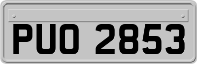 PUO2853