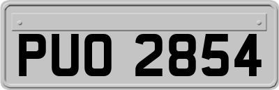 PUO2854