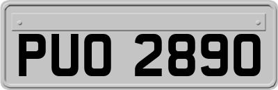 PUO2890