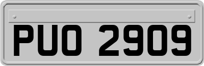 PUO2909