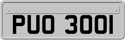 PUO3001