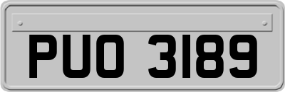 PUO3189