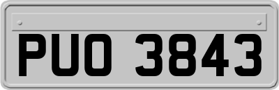 PUO3843