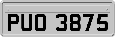 PUO3875