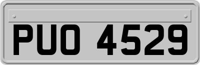 PUO4529