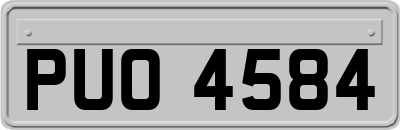 PUO4584
