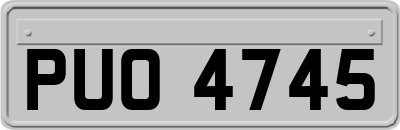 PUO4745