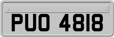 PUO4818
