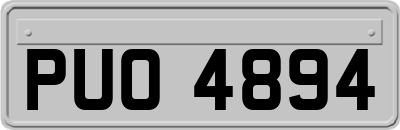 PUO4894