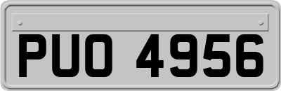 PUO4956