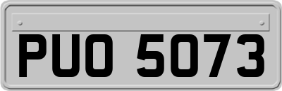 PUO5073