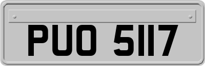 PUO5117