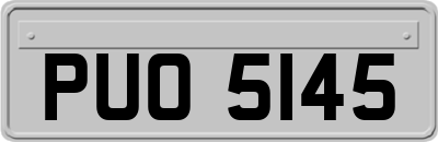 PUO5145