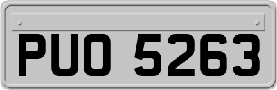 PUO5263