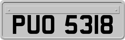 PUO5318